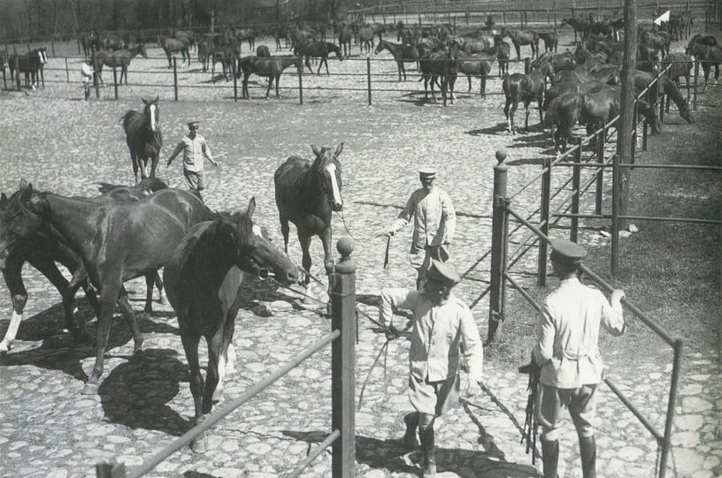 remont_11.jpg