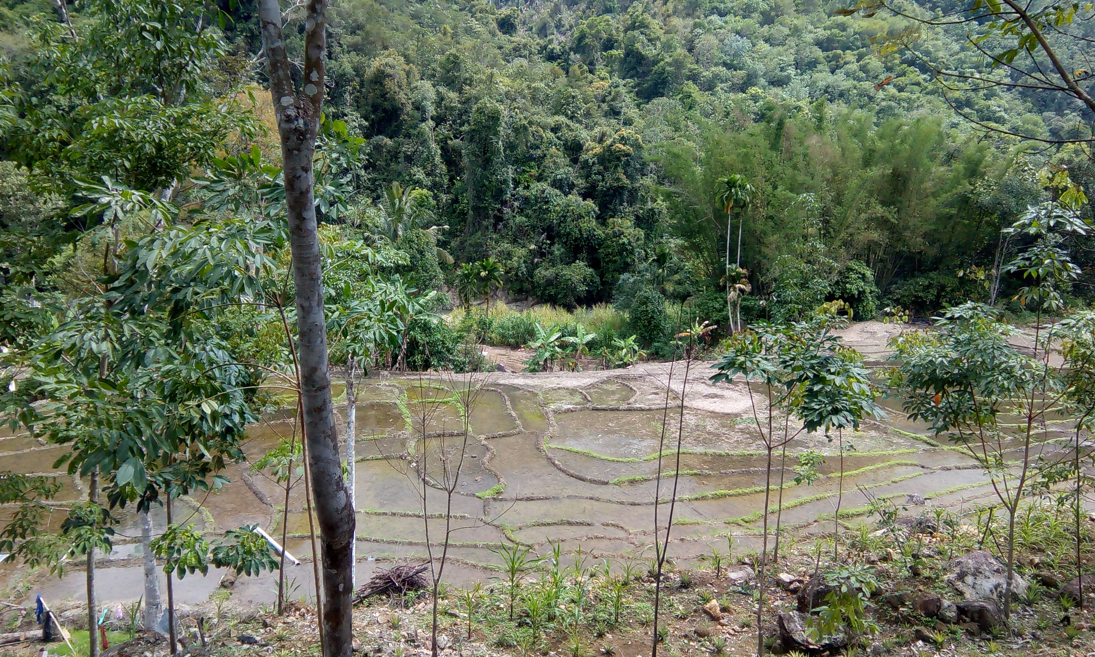 Bike Borneo trekking 4