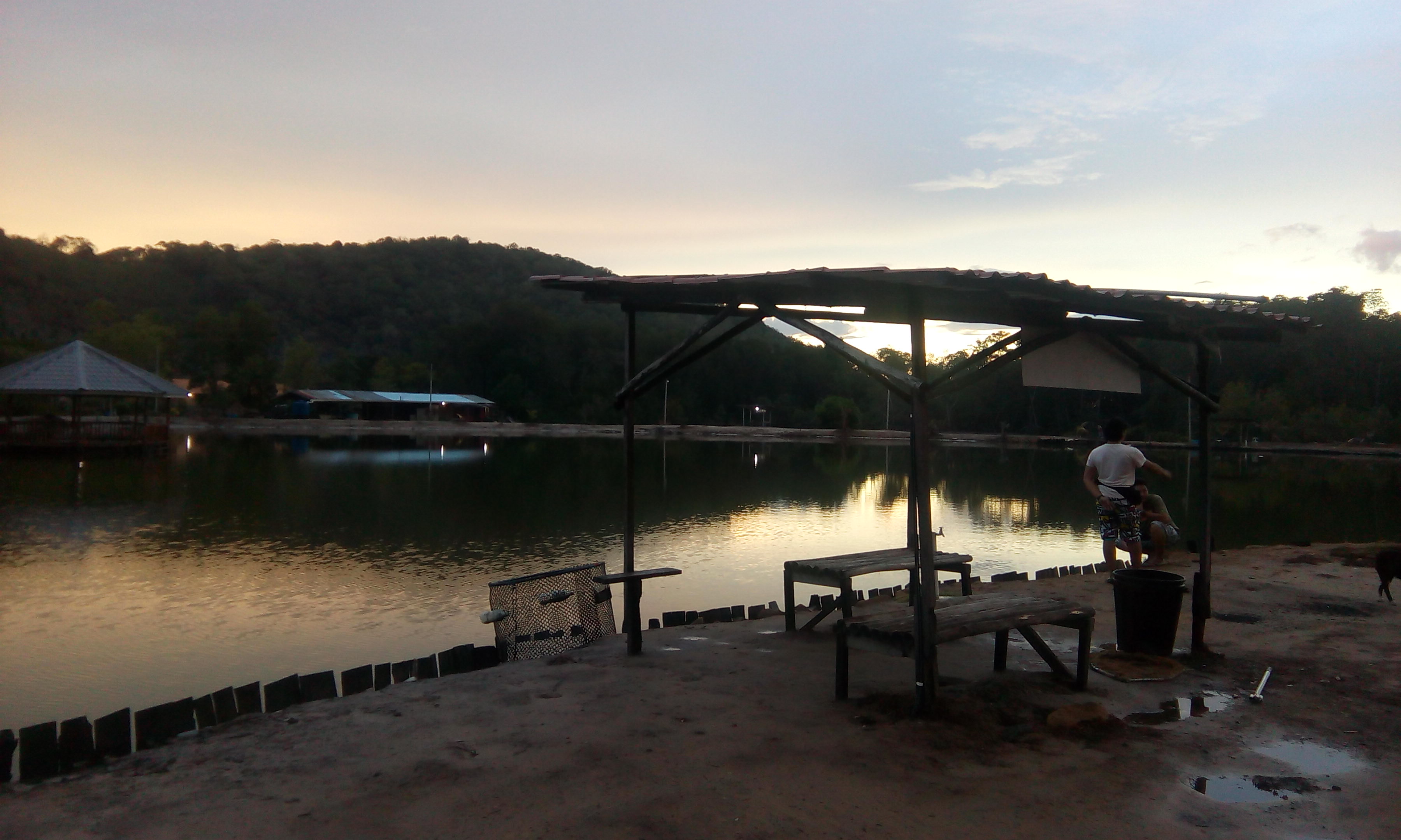 Dinner view