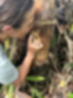 Jungle Survival training