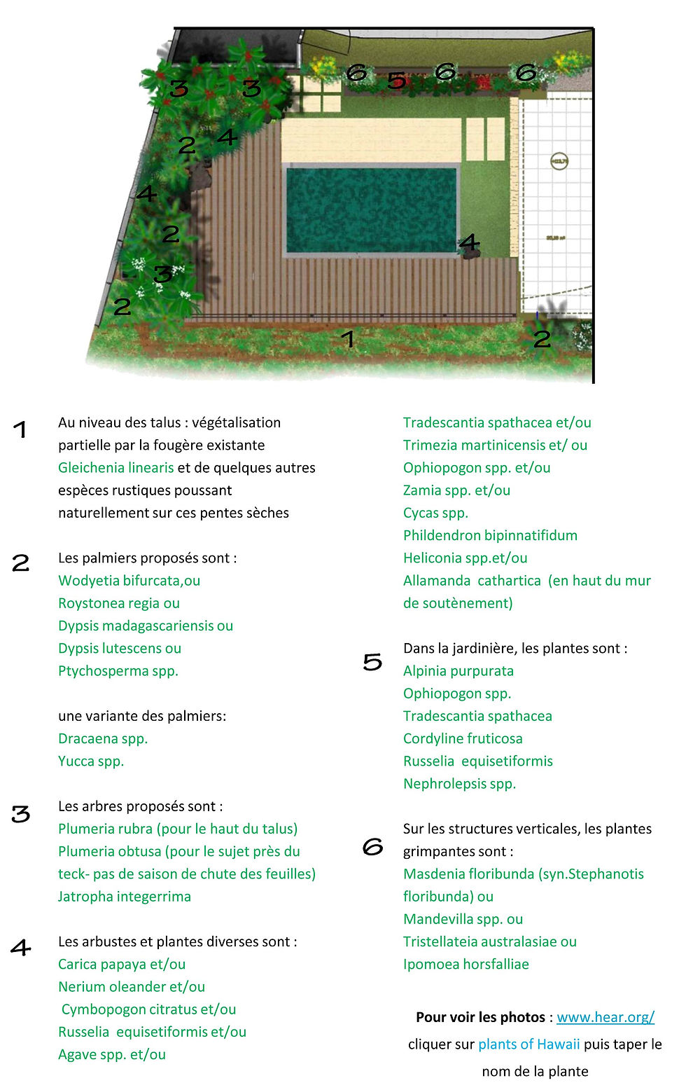 Palette végétale variante 2