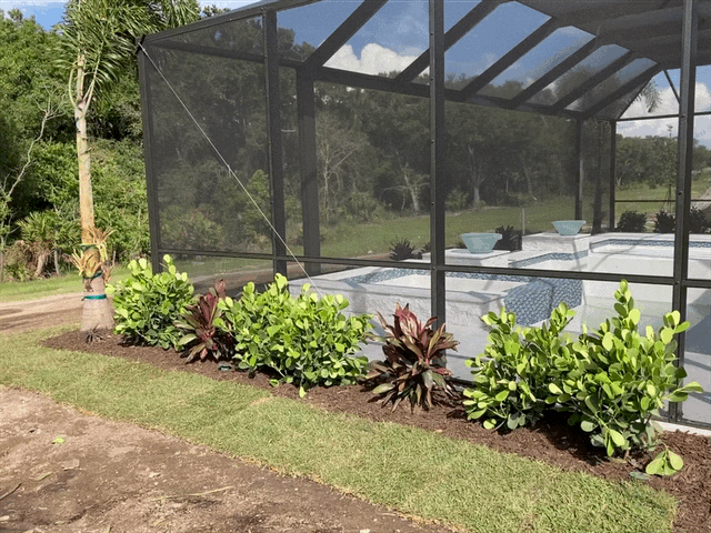 IMG_0085 - Copy.GIF