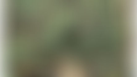 Should Christian Be Vegans?