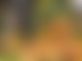 Home Maintenance Tips: Autumn Edition