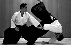 Aikido 03.jpg