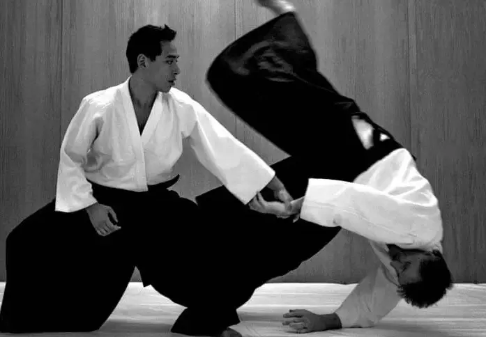 Aikido 03.jpg