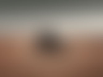 Overland Land Rover Defender with rooftop tent parked in a vast desert landscape, surrounded by open plains and distant mountains, capturing remote off-road travel and the spirit of long-distance adventure with Gravel & Salt.