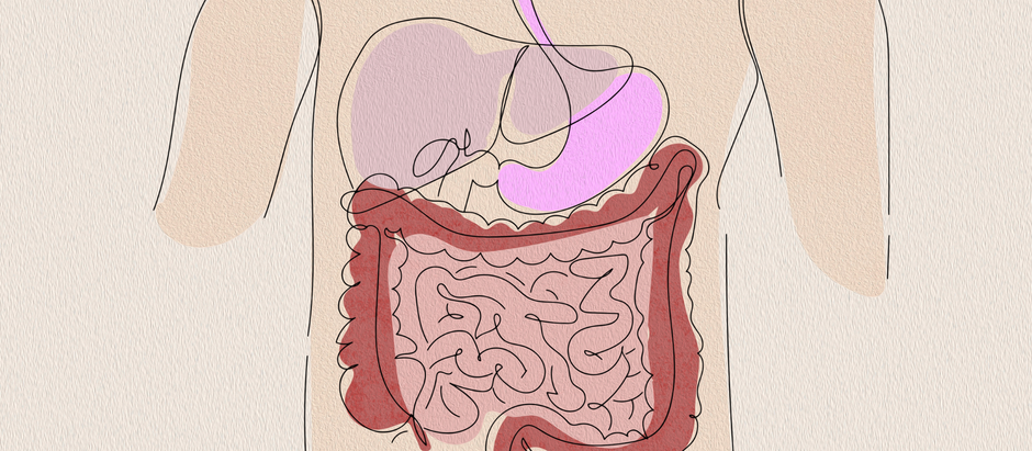 Leaky Gut