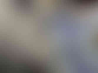 Shelter by Erika Lee Harrison