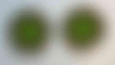 Made by Erika Lee Harrison