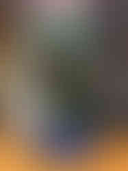 May Day by Erika Lee Harrison