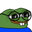 pepe-nerd.gif