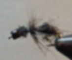 SWAnT on a Curved hook