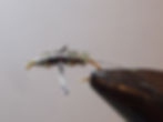 WBBS (Water Boatman Back Swimmer)