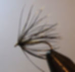 Drake Soft-Hackle