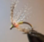 Epeorus Indispensable Soft-Hackle