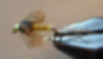 Buddy Wing Emerger - straight hook