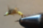 Buddy Wing Emerger - curved hook