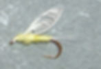 Hackle Wing Spinner