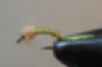 Pupaerger - light olive with pink thorax