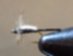 Split Shuck Emerger - black
