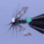 Flimsy Spent Caddis