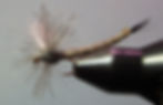 Calibaetis ESP