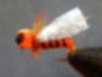 Micro Crunchy Cicada