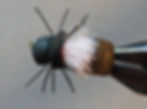 FF Beetle