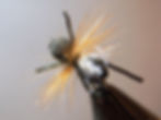 Combo Ant