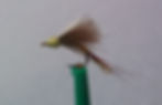 Thumb Down Emerger