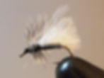 Goose Biot Midge