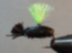 Parachute Deer Hair Beetle
