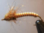 Sparkle Crane Larva