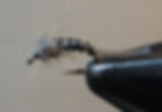 Pupaerger - gray