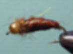Mummy Snail