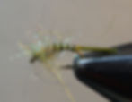 Pupaerger - olive