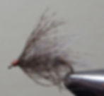 Double Soft-Hackled Caddis