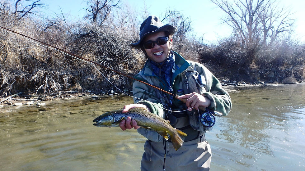 Spring baetis hatch