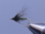 Caddis Soft-Hackle