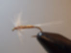 Rusty Spinner Flymph
