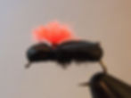 BeetAnt