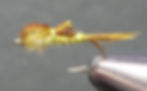 Master Angler Biot PT
