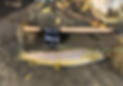 IMG_7230_edited.png
