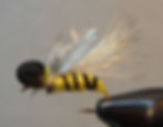 Crunchy Bee