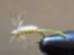 Split Shuck Emerger - light olive