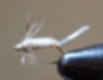 Split Shuck Emerger - gray