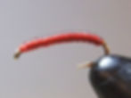 Chewy Midge Larva