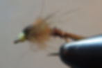 Buddy Wing Nymph - Curved hook