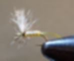 Split Shuck Floater - light olive